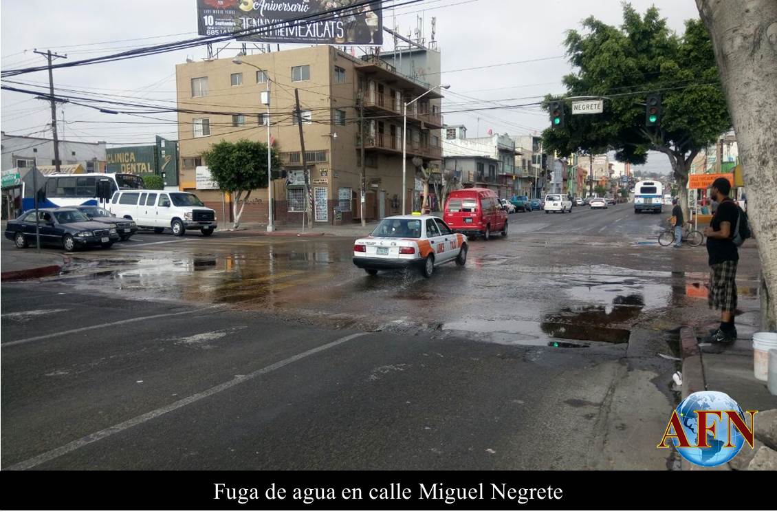 Fuga de agua en calle Miguel Negrete