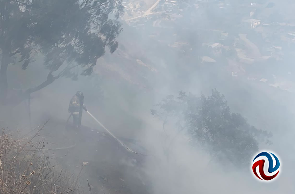 Se incendian pastizales en Vista Encantada