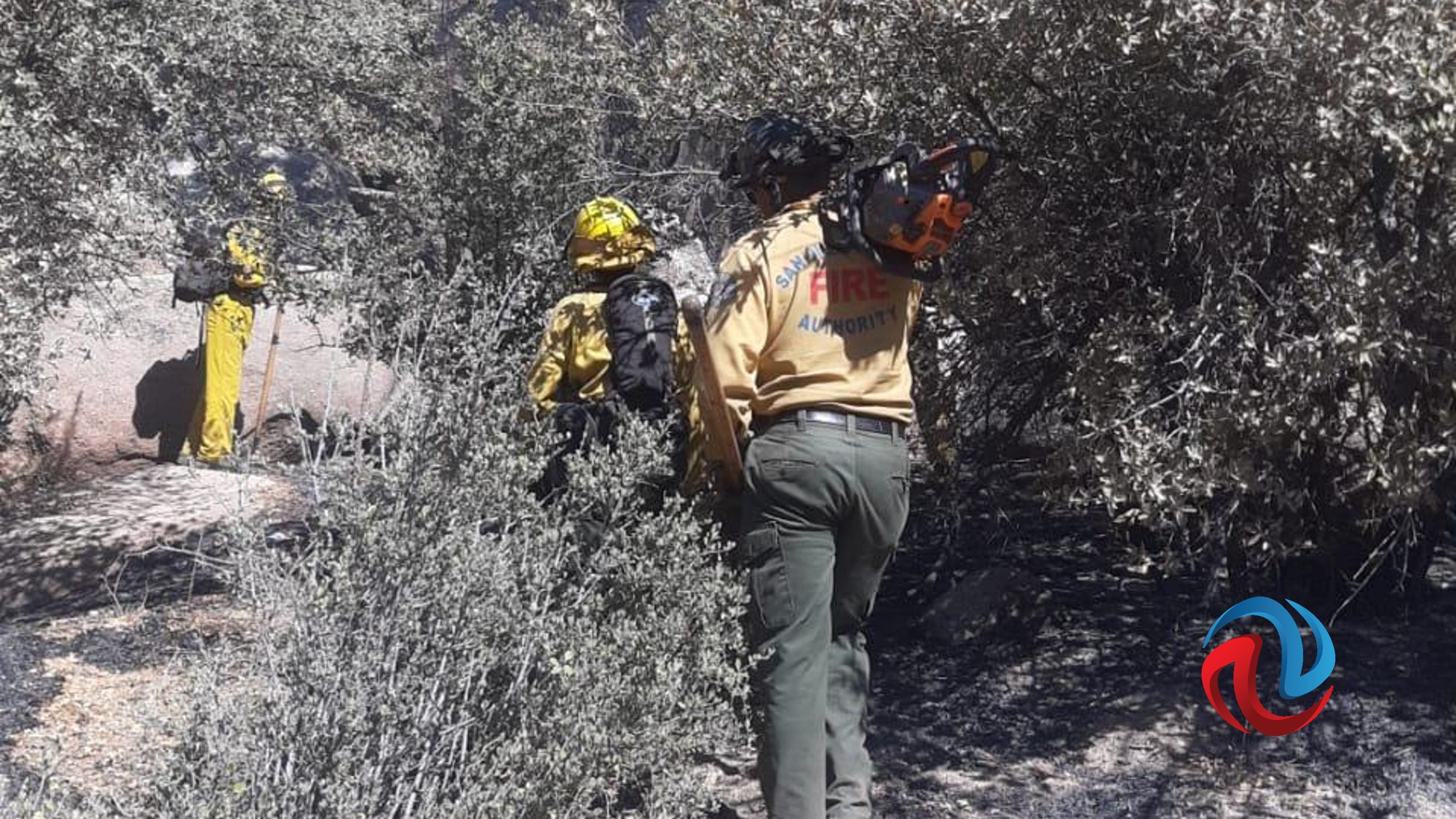 Enorme incendio forestal en San José de la Zorra 