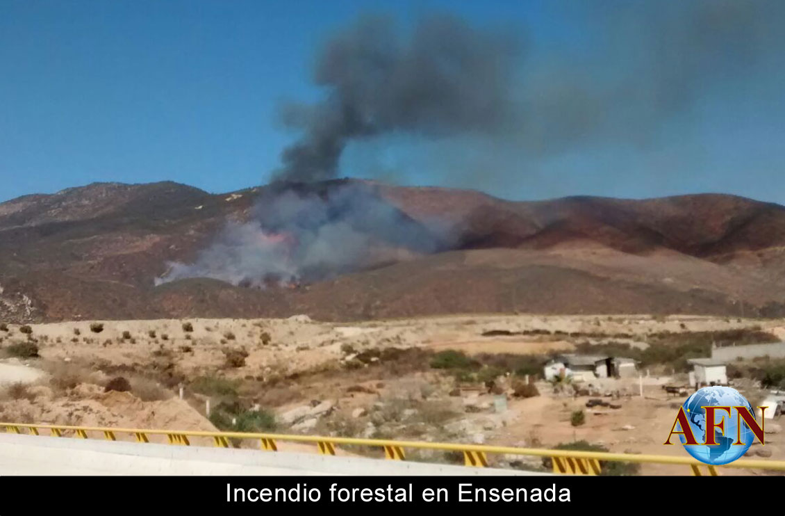 Sofocaron incendio forestal en Ensenada