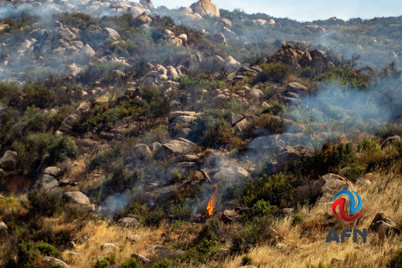 Suma Tecate tres incendios forestales en unas horas