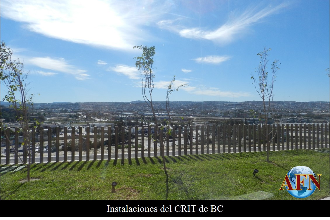 Inauguran el CRIT el 11 de diciembre