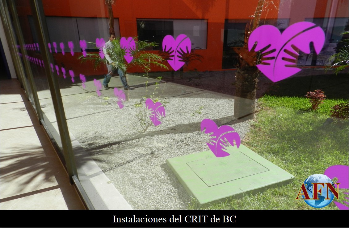 Inauguran el CRIT el 11 de diciembre