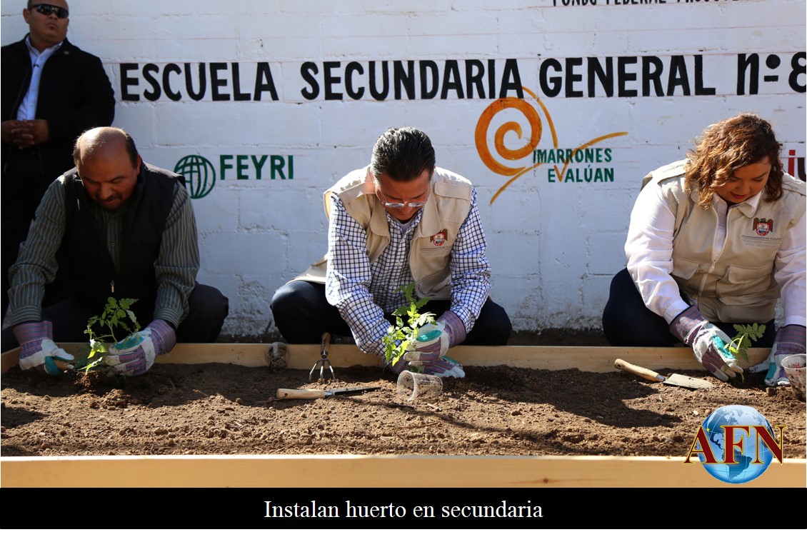 Instalan huerto en secundaria 
