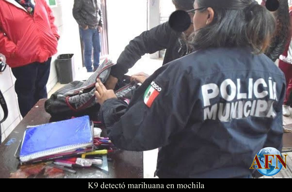 K9 detectó marihuana en mochila