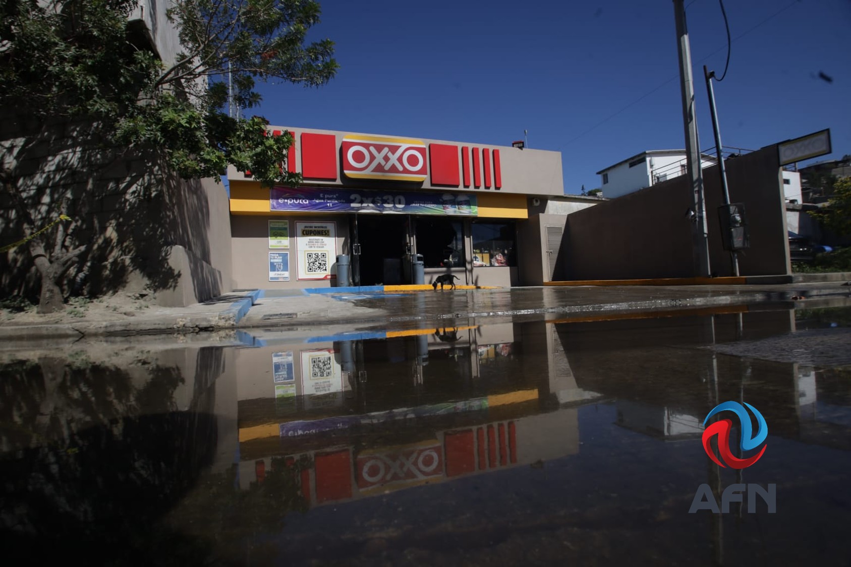 Lanzan llamado generalizado a no salir y a mantener la calma