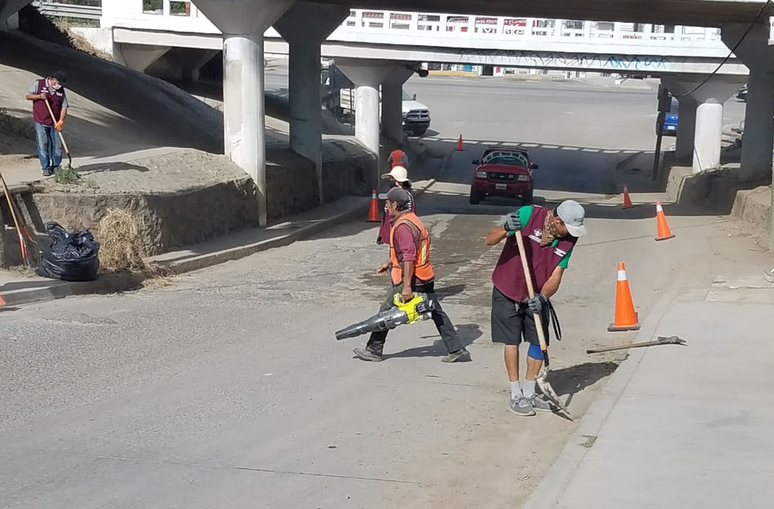 Hacen limpieza en diversos puntos de la ciudad