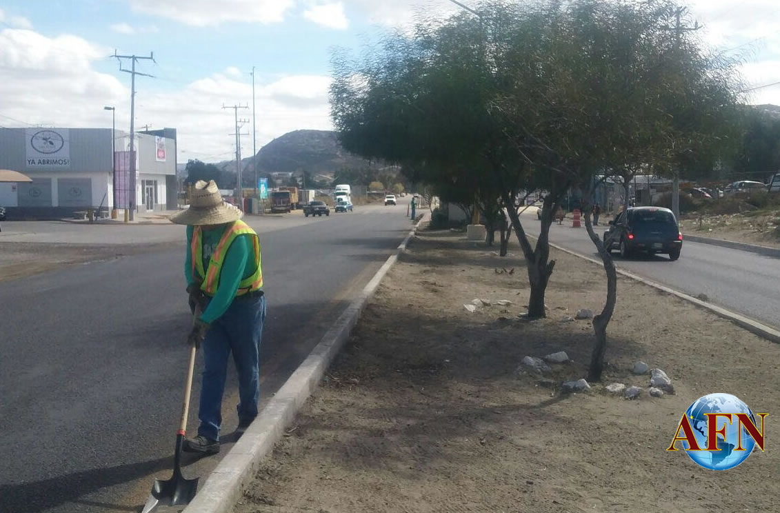 Hacen jornada de limpieza en Tecate