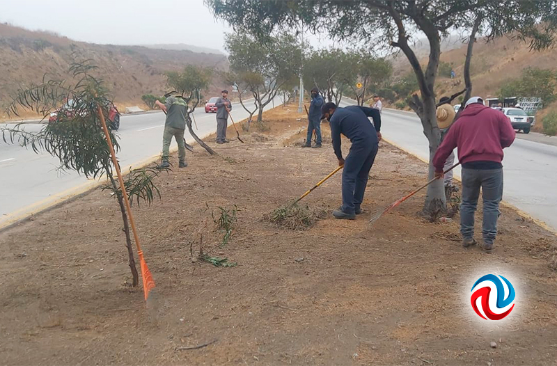 Realizan limpieza y bacheo en las inmediaciones de Popotla 