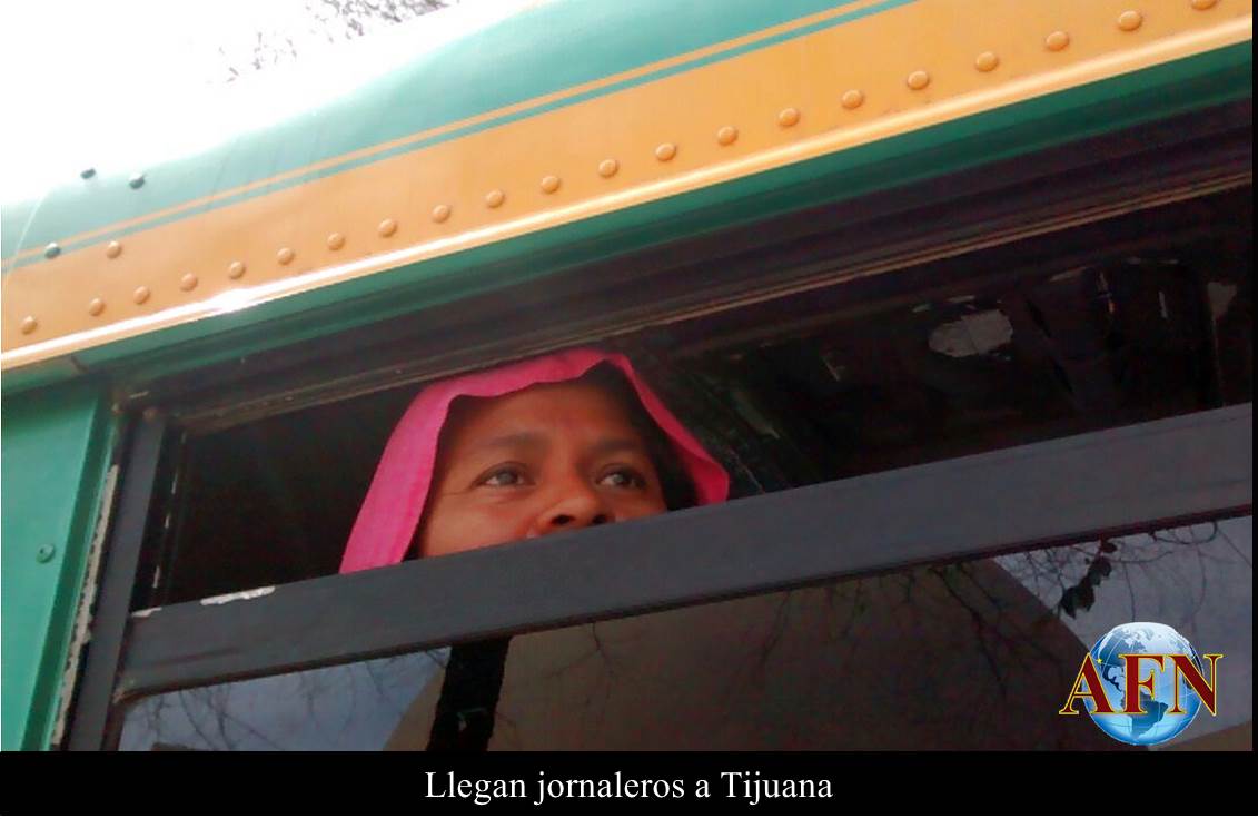 Llegan jornaleros a Tijuana; exigen aumentos