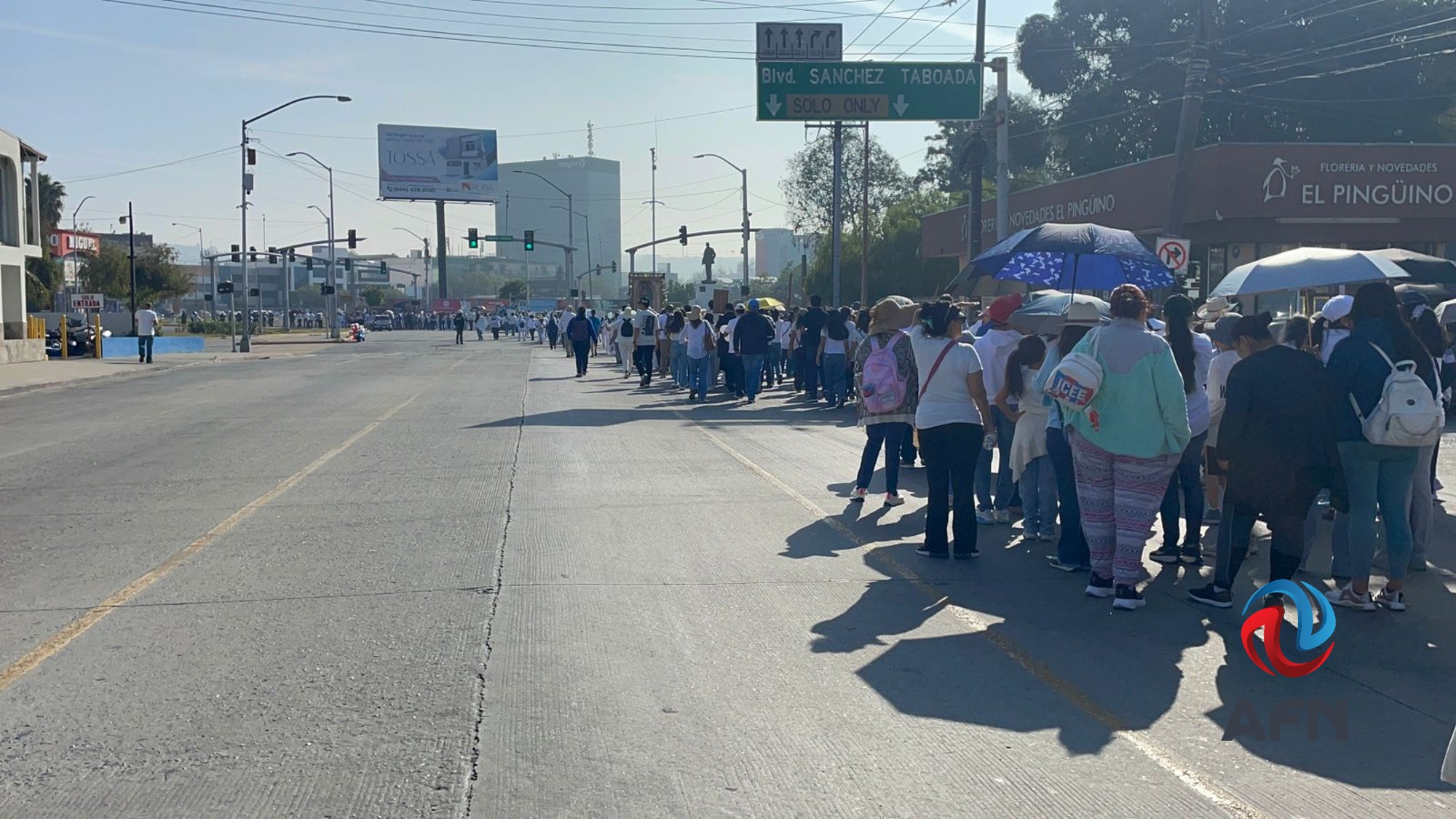 Peregrinación Por la Vida y la Paz convocó a más de 20 mil feligreses