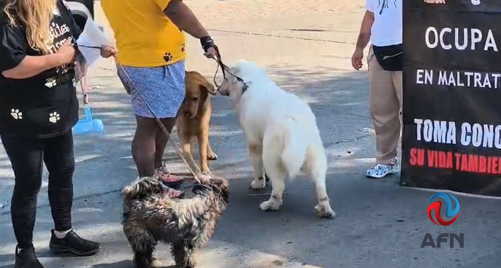 Presentó Sheinbaum en Plan Michoacán por la Paz y la Justicia