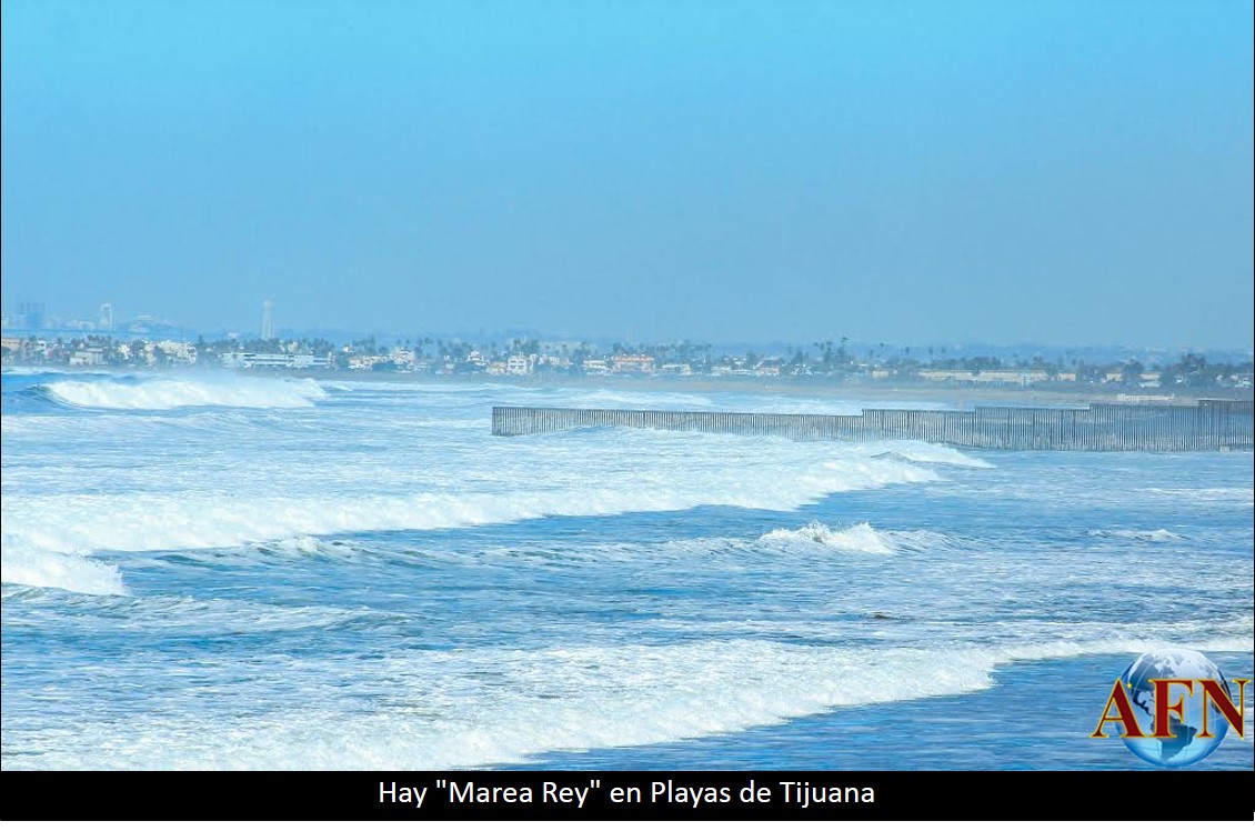 Hay Marea Rey en Playas de Tijuana