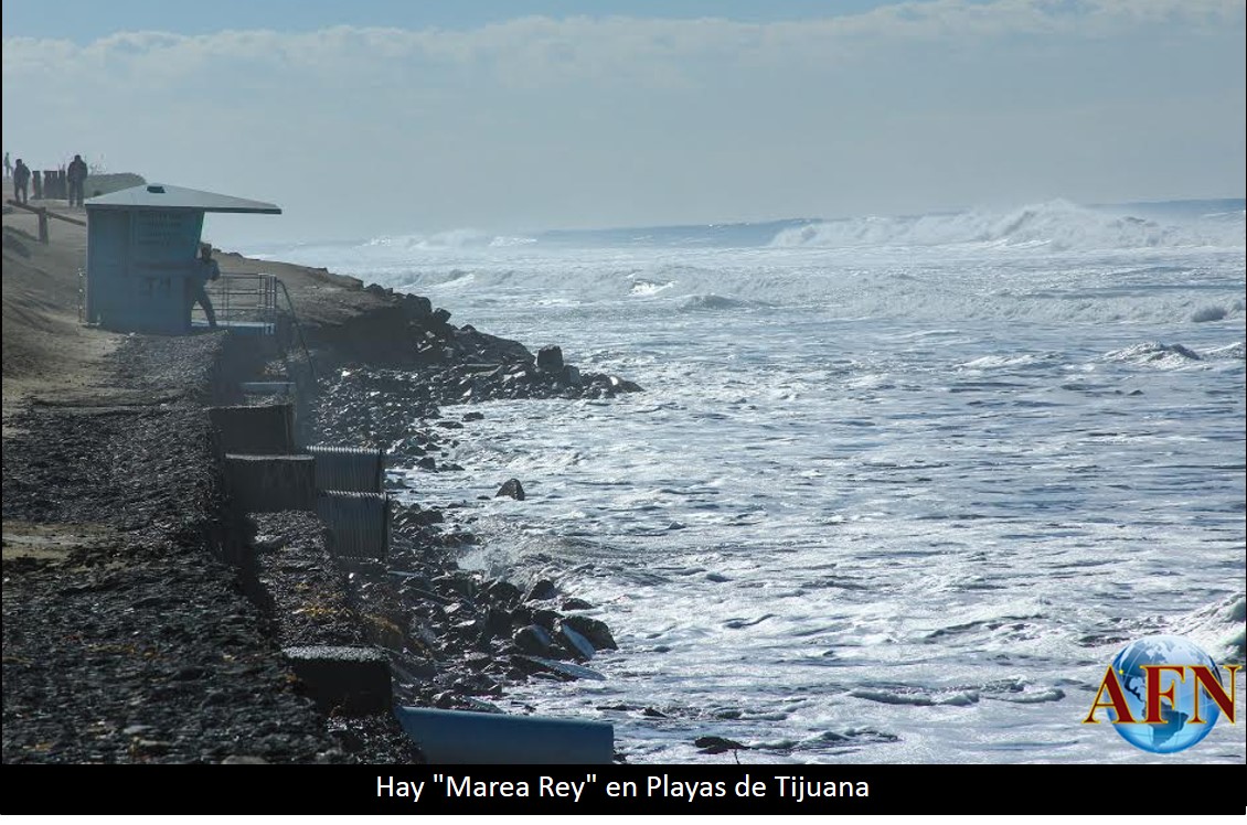 Hay Marea Rey en Playas de Tijuana