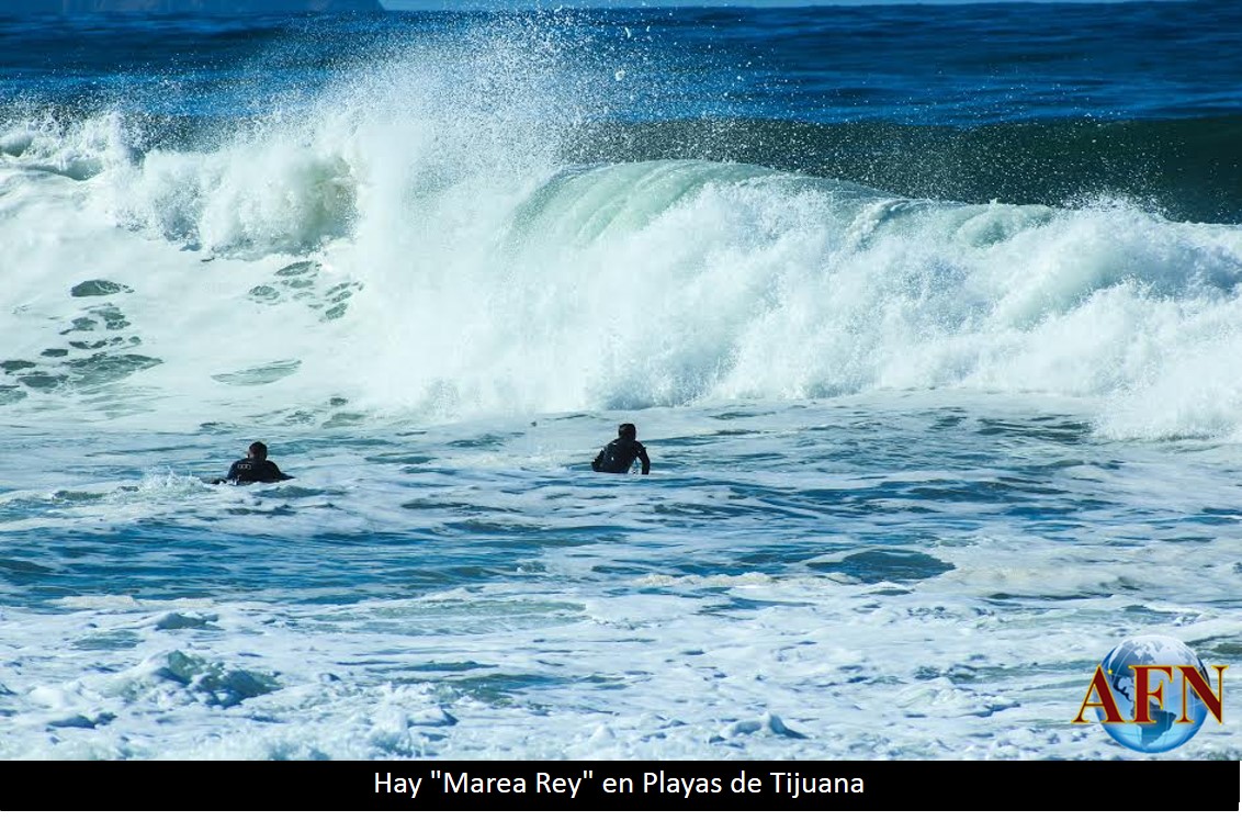 Hay Marea Rey en Playas de Tijuana