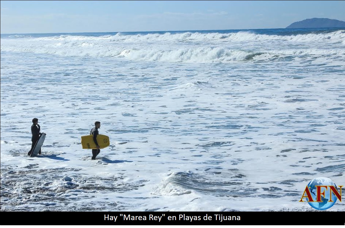 Hay Marea Rey en Playas de Tijuana