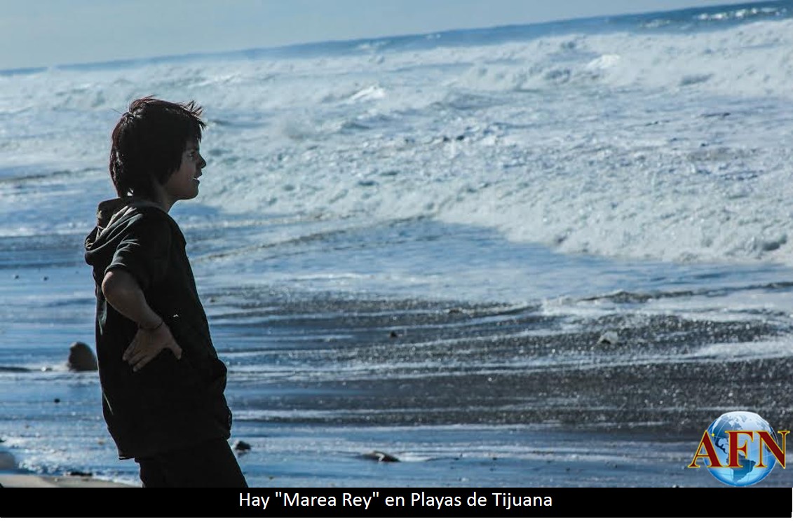 Hay Marea Rey en Playas de Tijuana