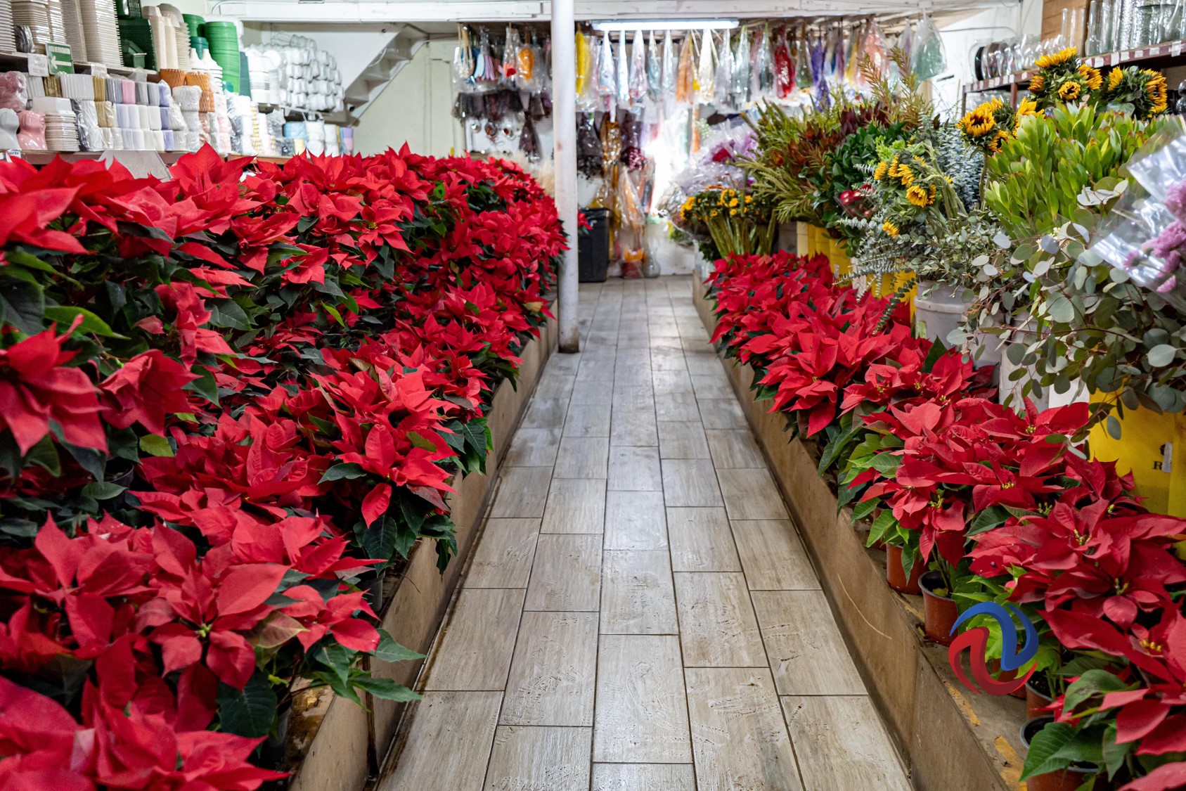 Se adorna de Navidad Tijuana con la venta de productos de temporada
