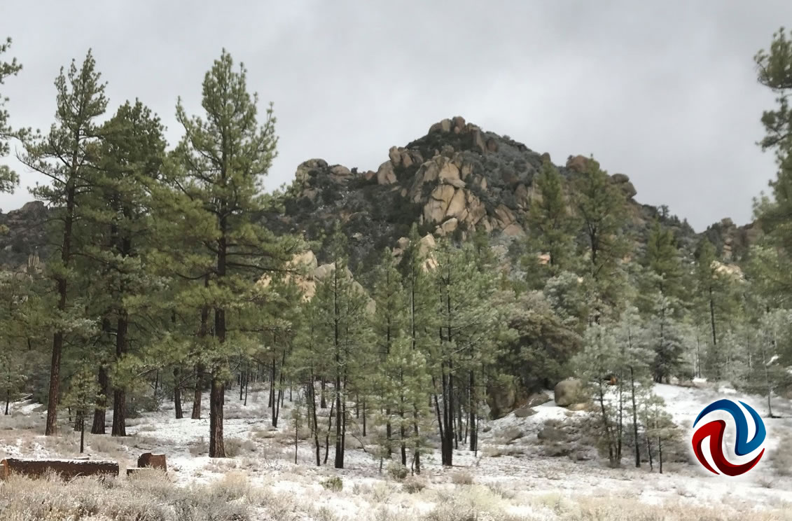 Cae nevada en el Parque Nacional Constitución de 1857