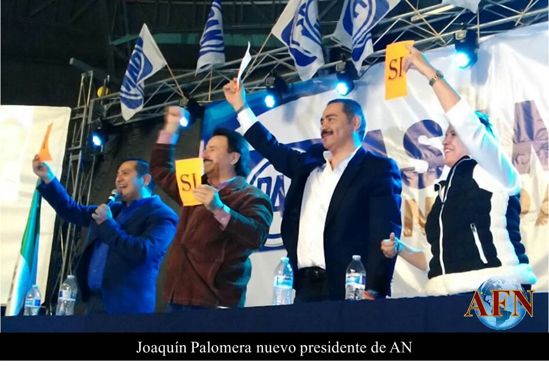 Joaquin Palomera nuevo presidente de AN