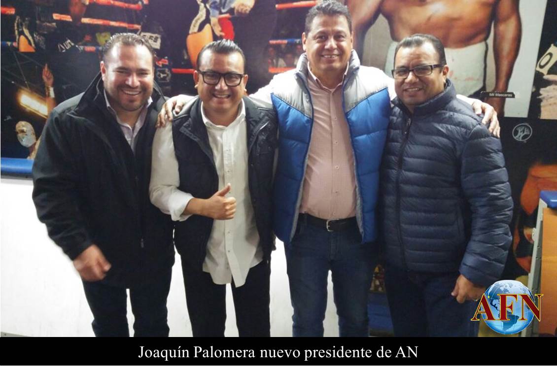 Joaquin Palomera nuevo presidente de AN