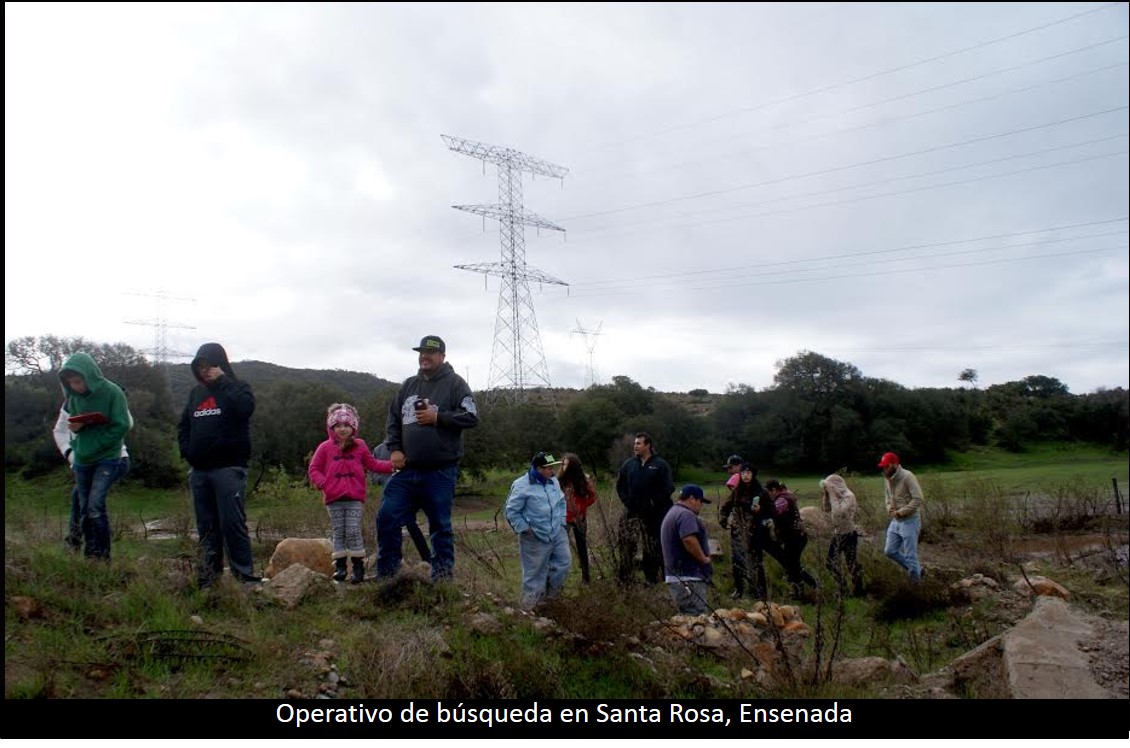 Arroyo destruye diez casas en Ensenada
