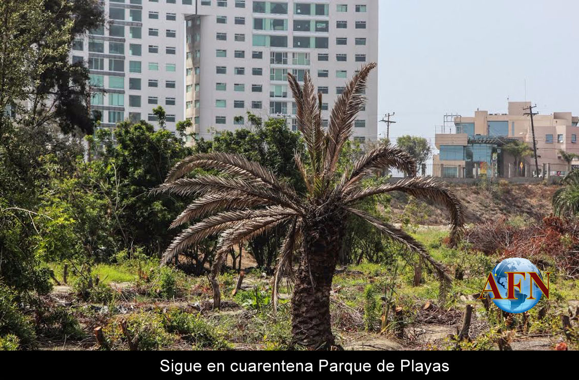 Sigue en cuarentena Parque de Playas