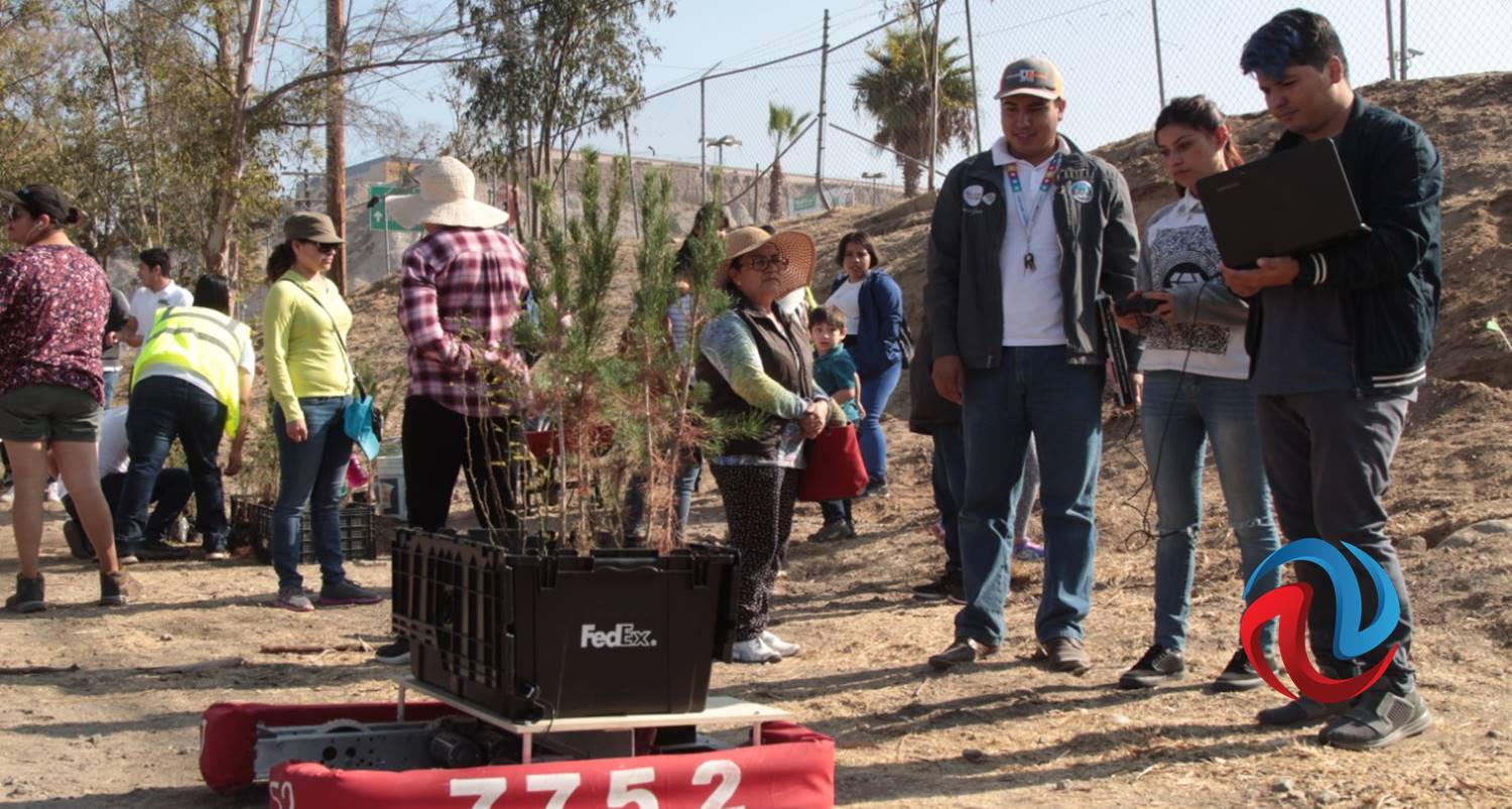 Plantan árboles nativos en Parque Morelos