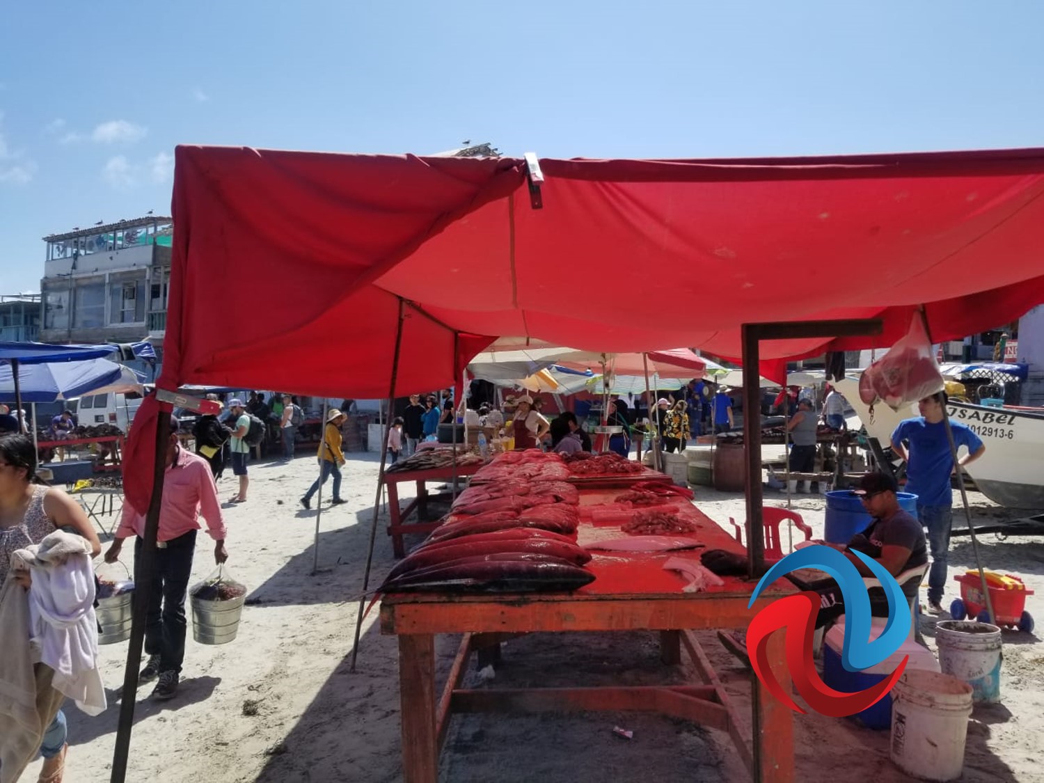 Llegan cientos a disfrutar del zarandeado a Popotla