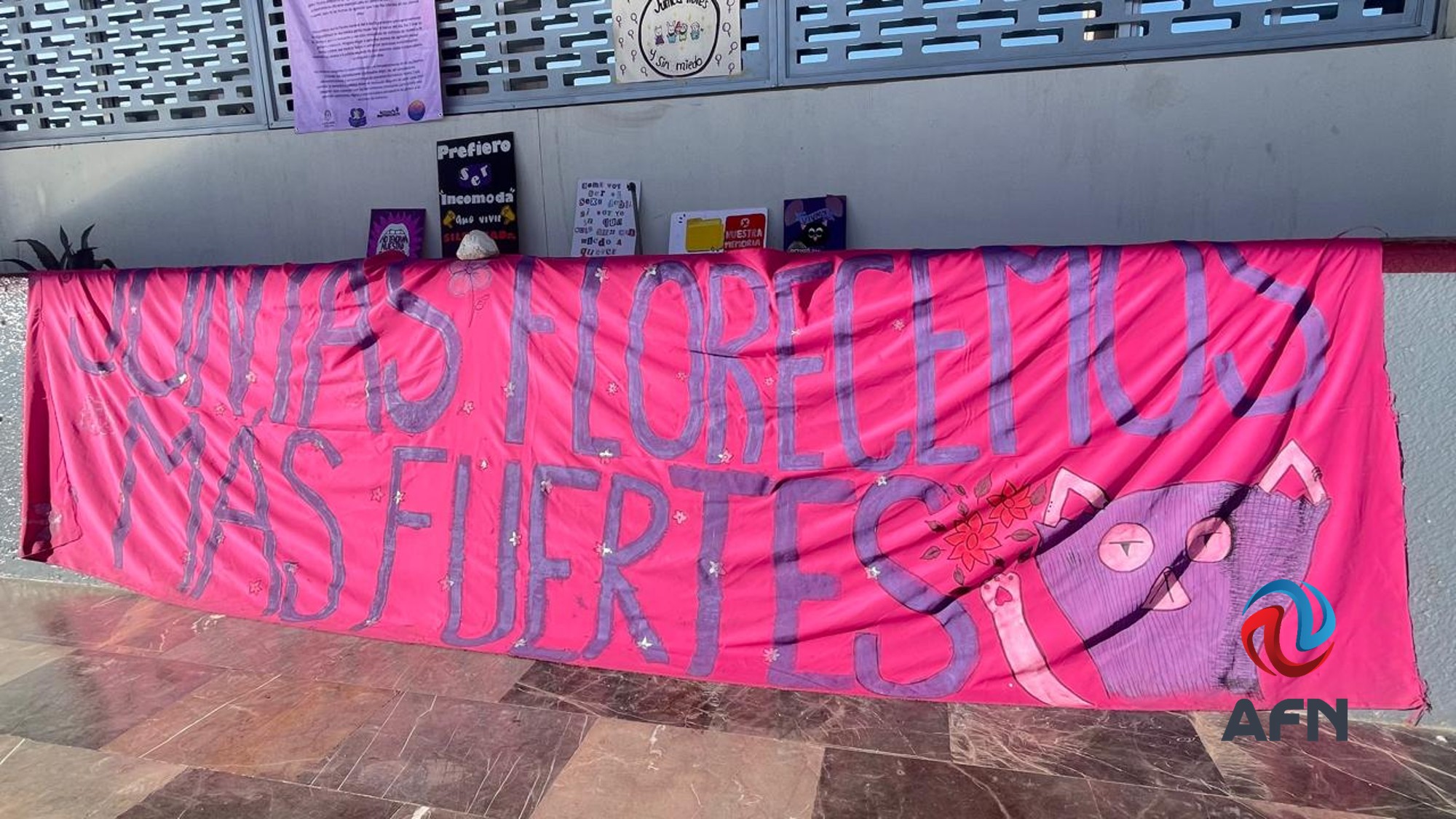 Marina y Bustamante convierten discurso de género en mercadotecnia, reclaman