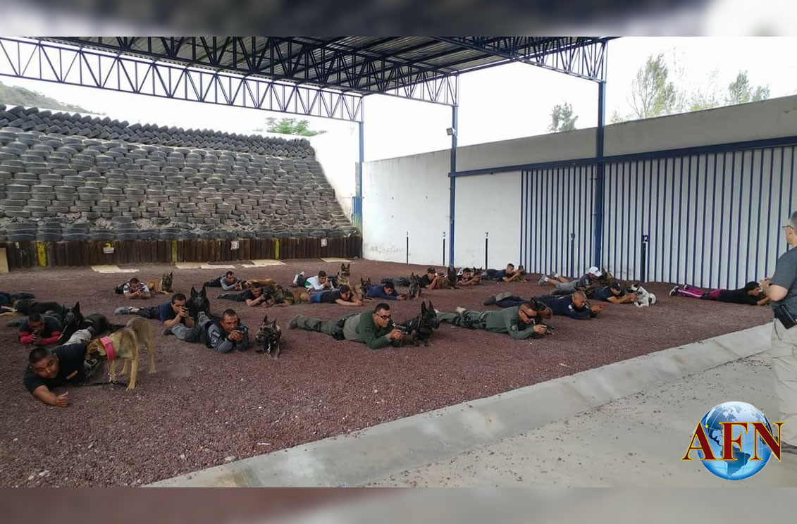 K-9 obtiene presea en Guanajuato