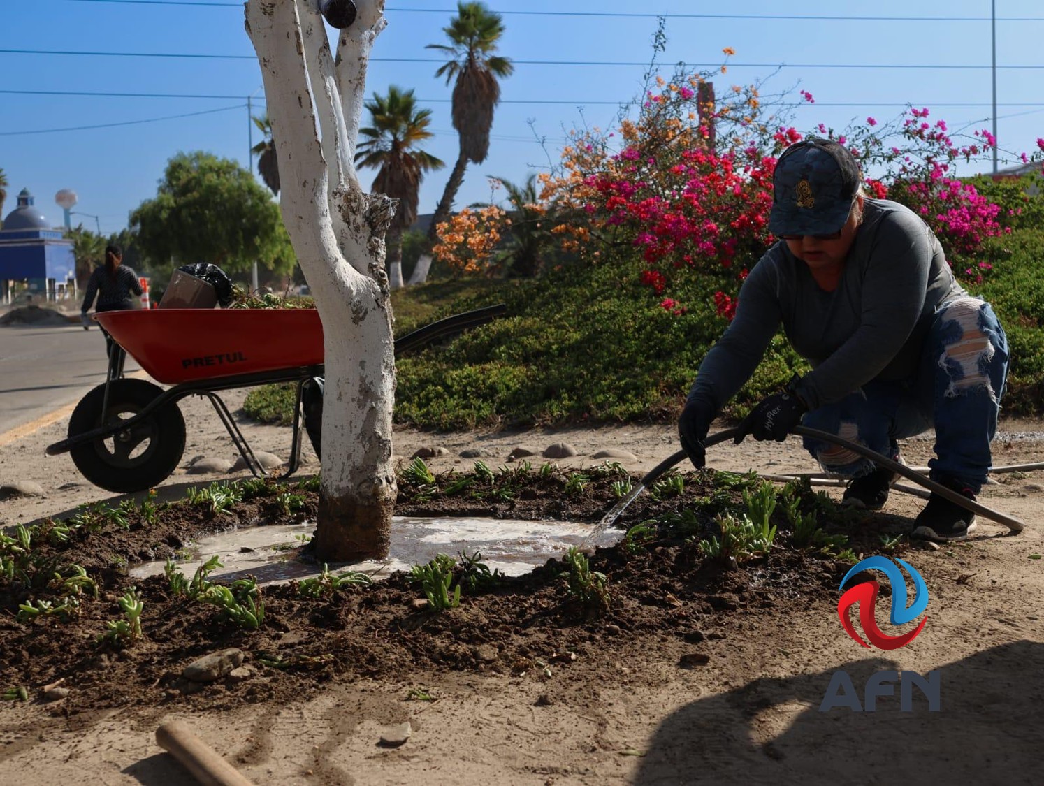 Inició el programa Tijuana: Ciudad Limpia en varias delegaciones