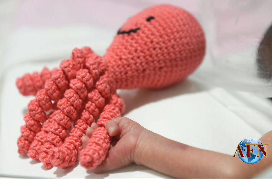 Pulpos para motivar a prematuros