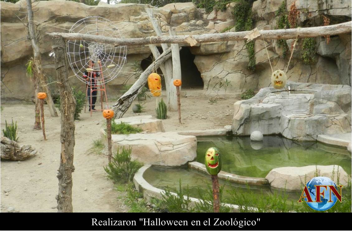 Realizaron Halloween en el Zoológico