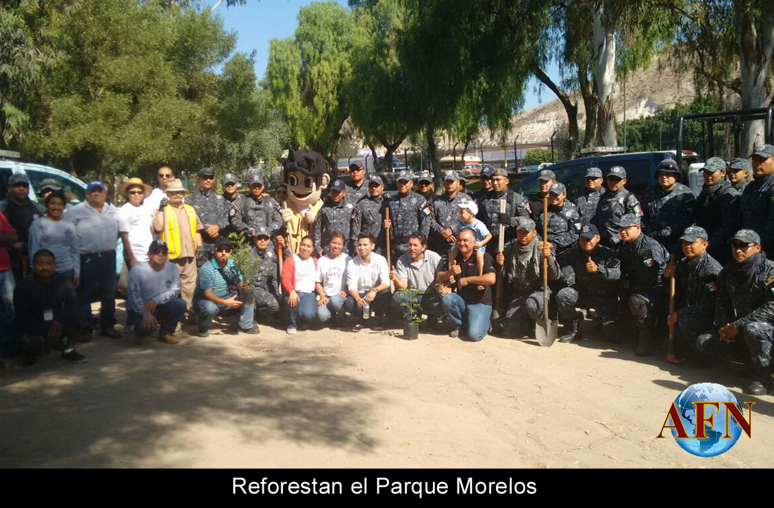 Reforestan el Parque Morelos