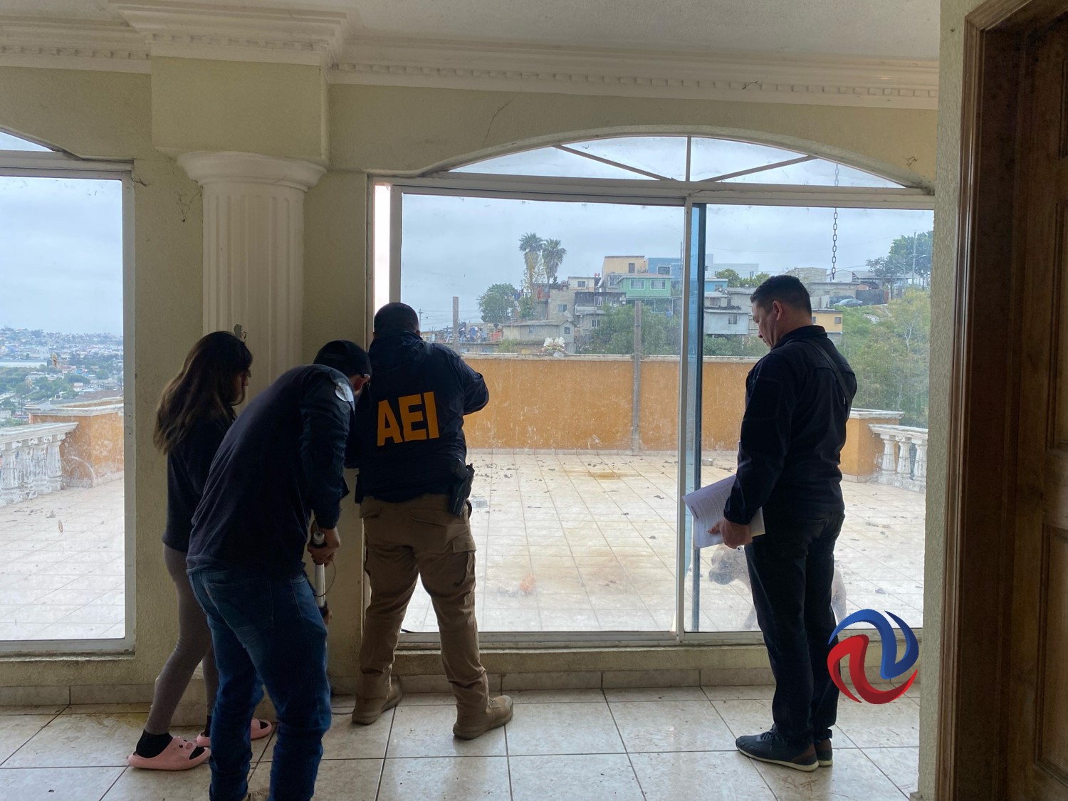 Fiscalía rescató a ocho perros que eran maltratados en vivienda de la colonia Obrera