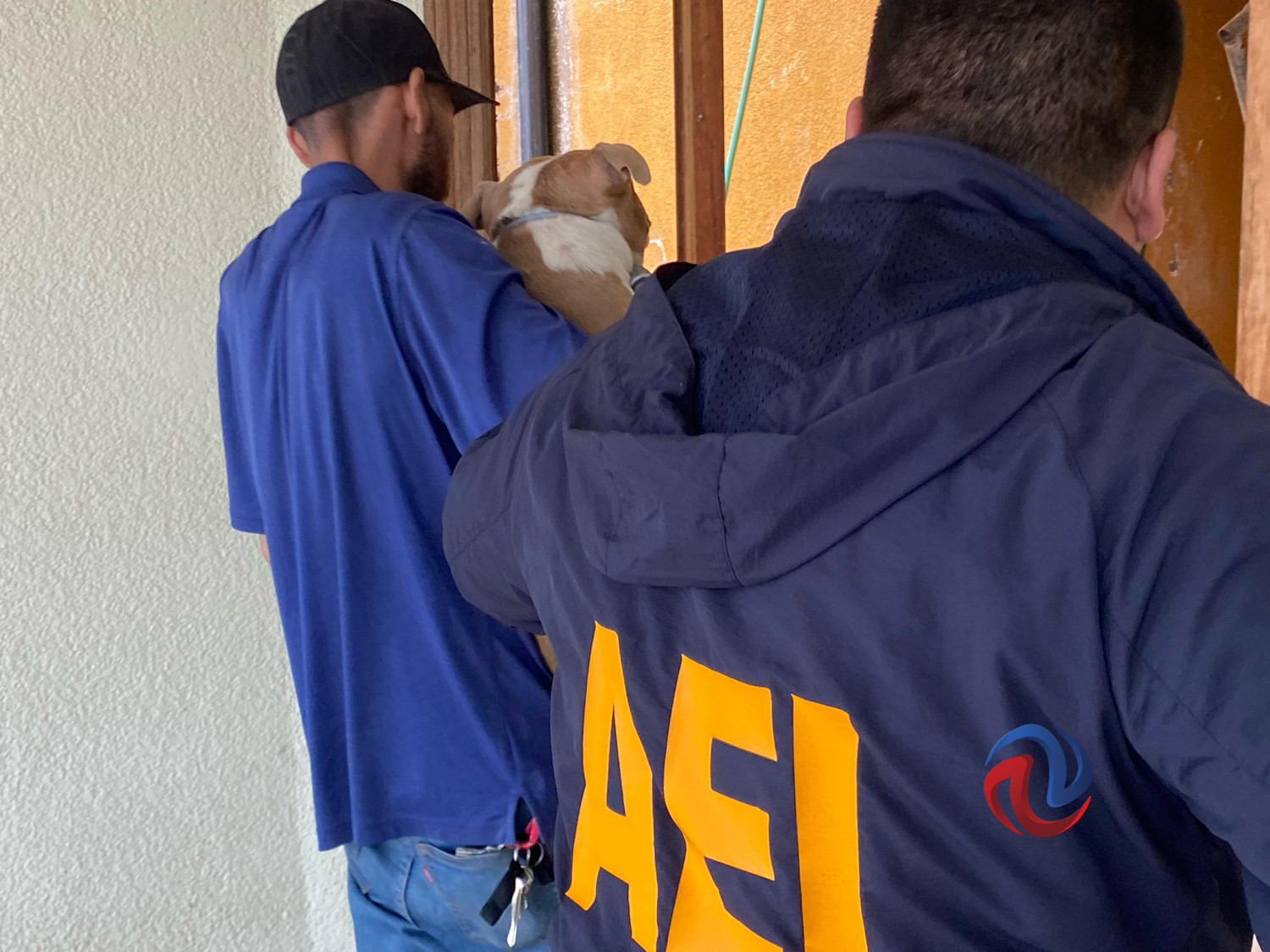 Fiscalía rescató a ocho perros que eran maltratados en vivienda de la colonia Obrera