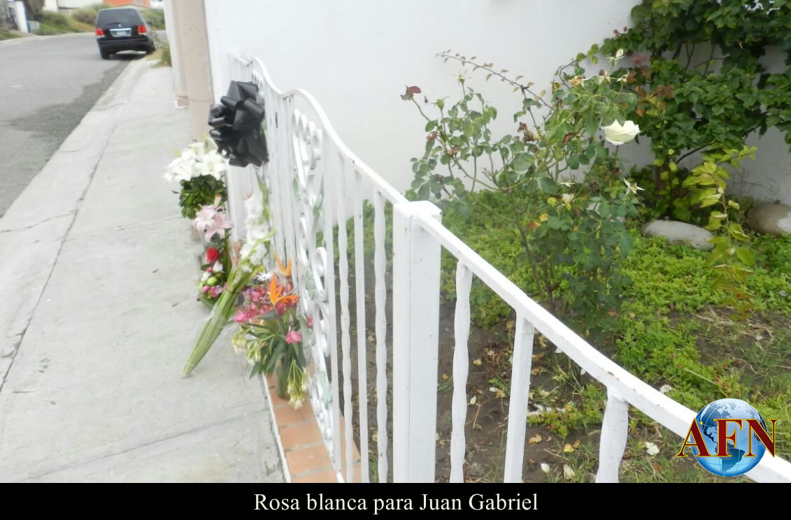 Rosa blanca para Juan Gabriel
