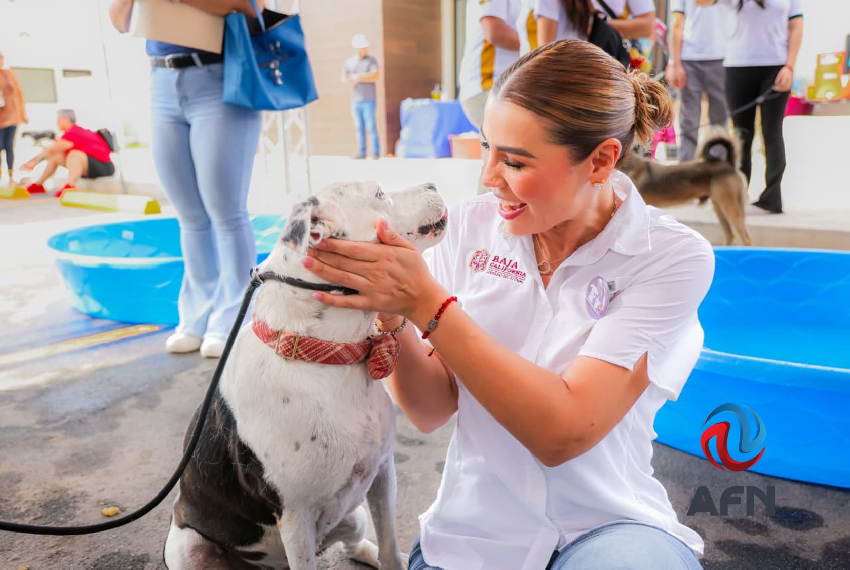 Santuario Animal Mily busca un hogar para 193 perros y 37 gatos