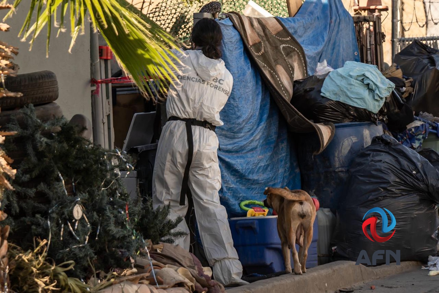 Asesinan a balazos a una pareja en una vivienda del Capistrano