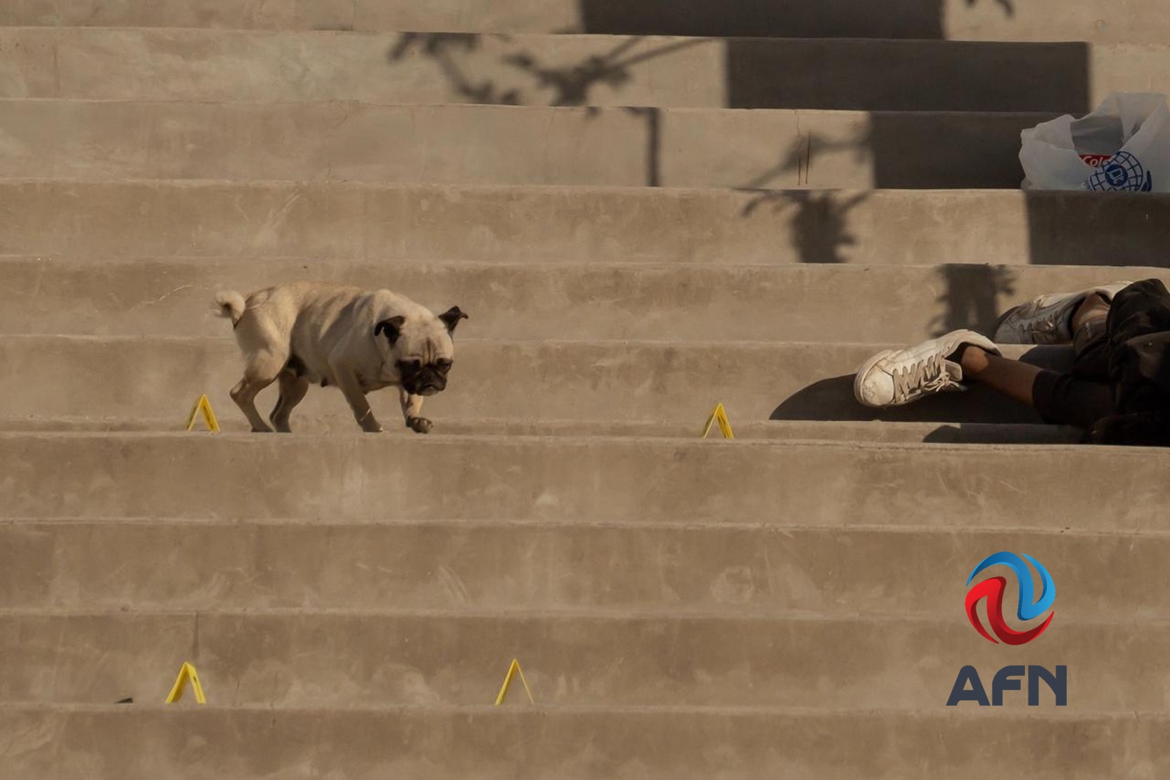 Ataque en centro de rehabilitación de la Patrulla Espiritual deja un muerto y un herido