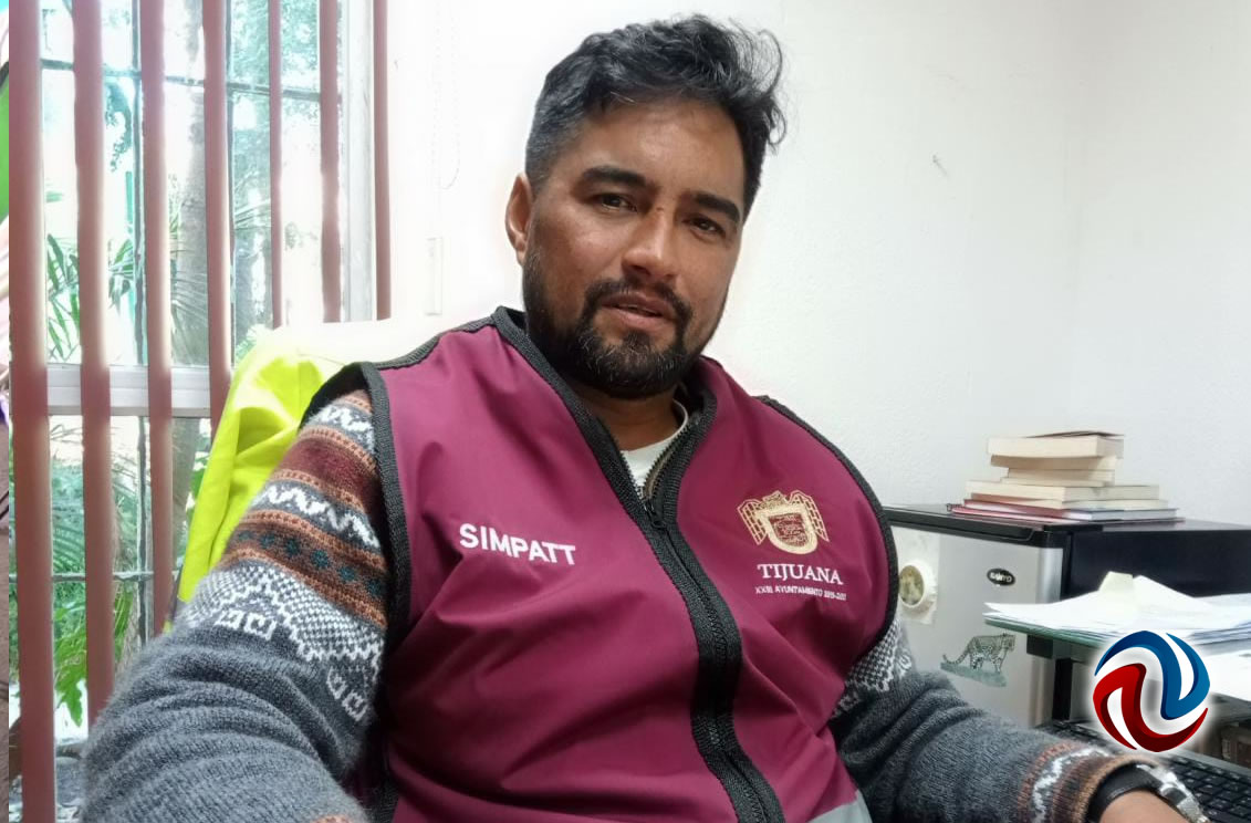 Producen más de 30 mil plantas en vivero de Parque Morelos