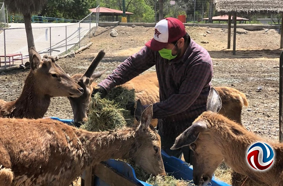 Mantienen en buen estado Zoológico de Simpatt