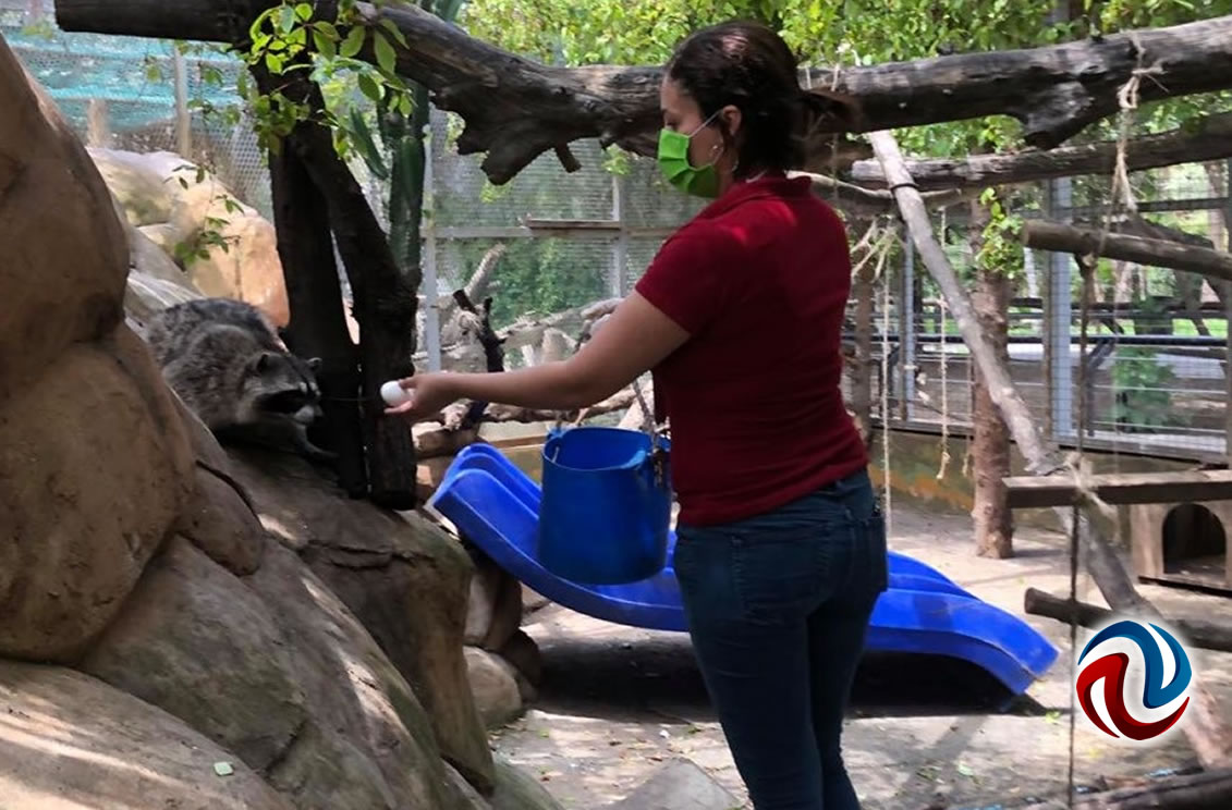 Mantienen en buen estado Zoológico de Simpatt