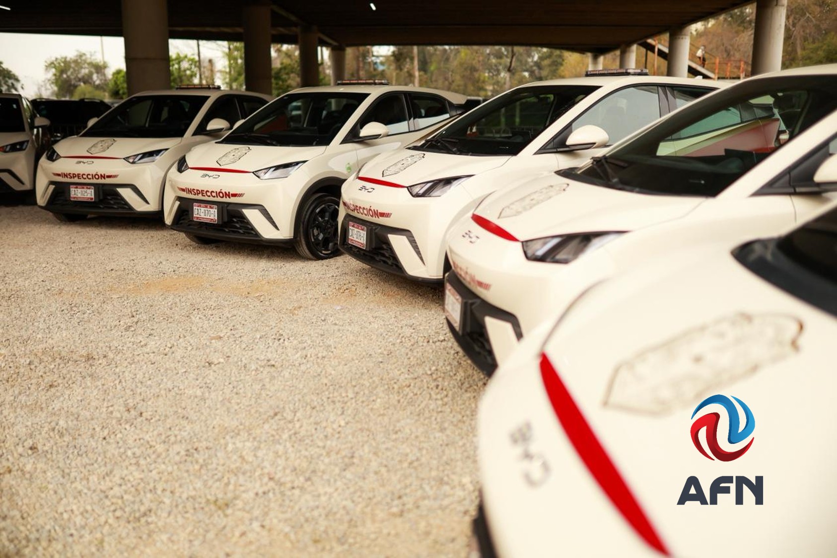 Gobierno del Estado entregó 14 unidades eléctricas para el IMOS