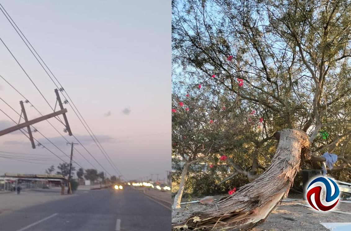 Fuertes vientos en Mexicali provocan caída de árboles y postes de luz