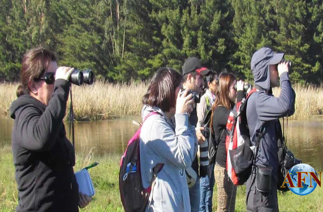 Invitan a Gran Pajareada