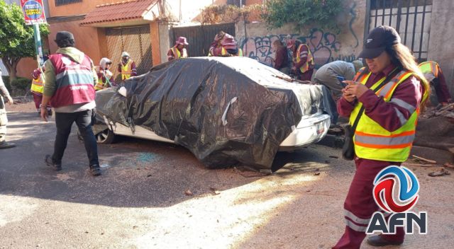 No se reportaron severas afectaciones tras sismo en la CDMX