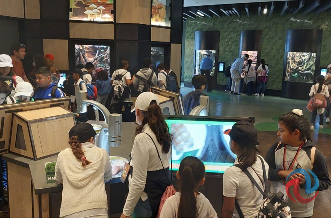 Premiaron a alumnos rosaritenses por su excelencia académica