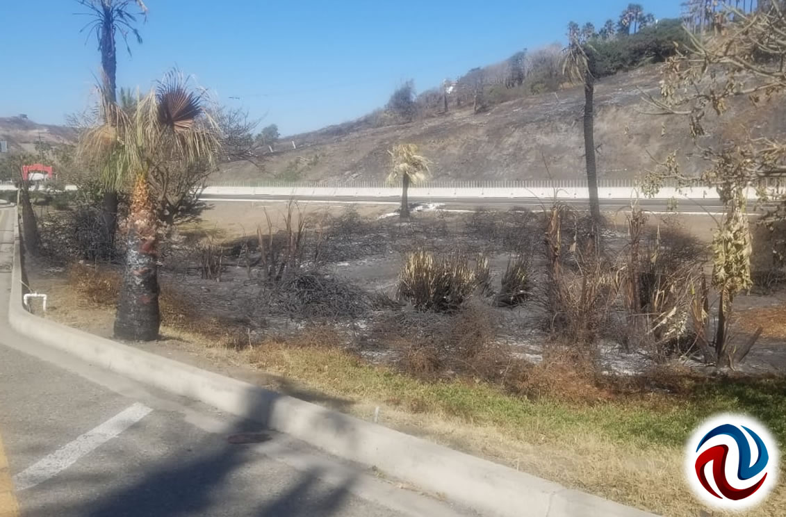 Contingencia en la calidad del aire a causa de incendios
